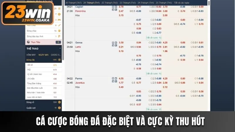 Cá cược bóng đá đặc biệt và cực kỳ thu hút