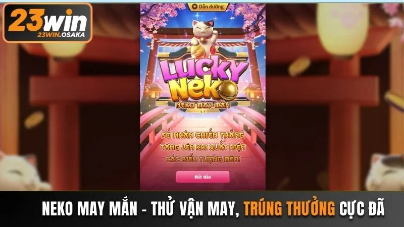 Neko may mắn