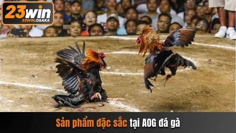 Sản phẩm đặc sắc tại AOG đá gà