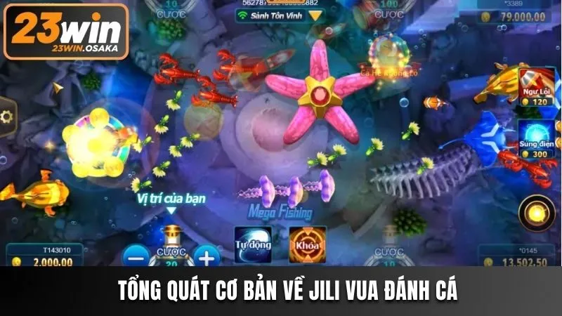 Tổng quát cơ bản về Jili Vua Đánh Cá